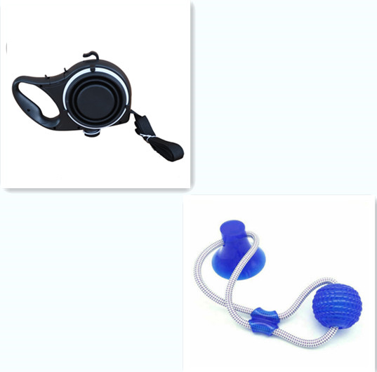 Pet Leash with Water Bottle and Cup